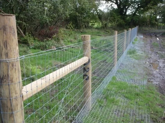 Beaver exclusion fence - R. Campbell-Palmer