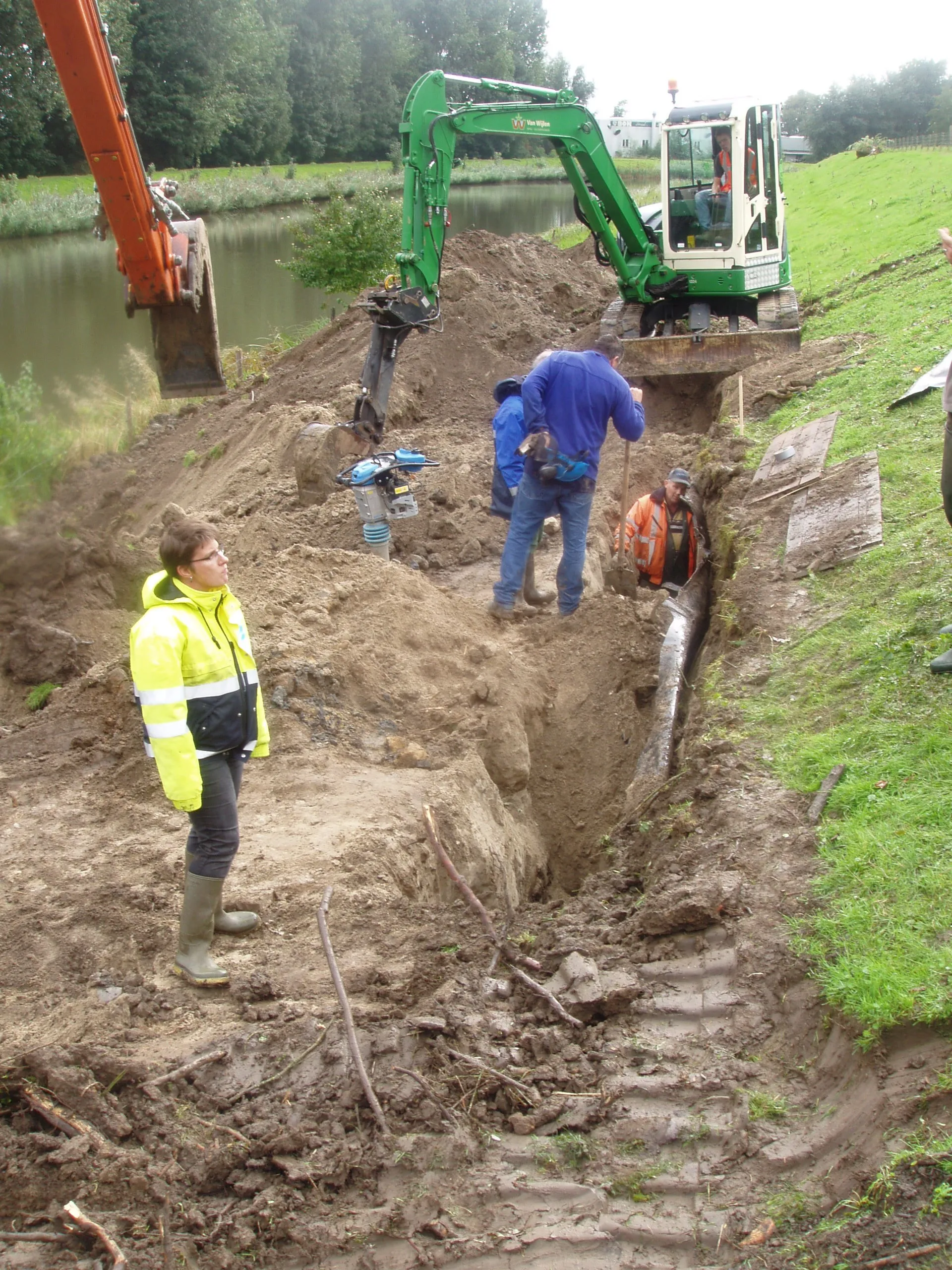 Burrow excavated - Vilmar Dijkstra