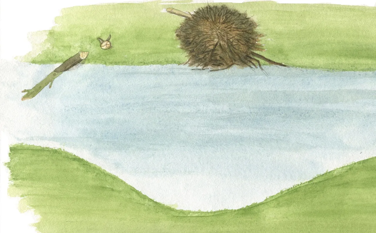 Topview drawing of deepened watercourse D. Klees