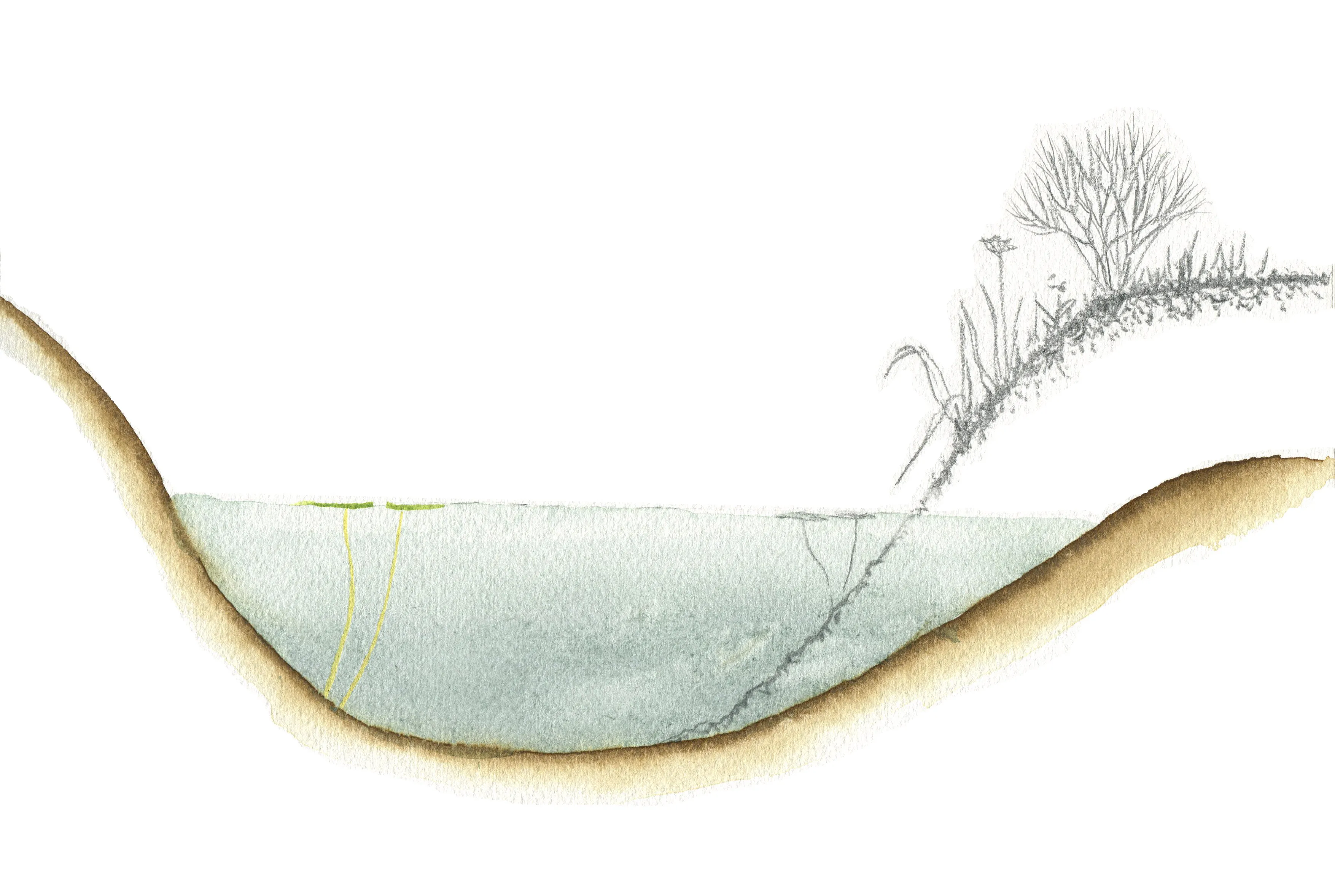 Flatten bank - Dick Klees